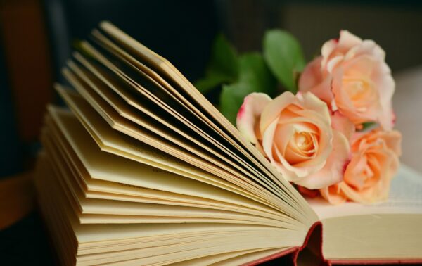 book, pages, roses-1769228.jpg